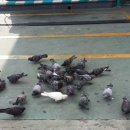 등촌주유소 이미지