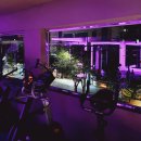 클라우드 짐 선유 이미지