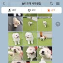 놀러오개 서대문점 네이버블로그