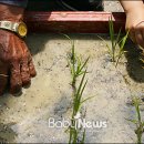 뿌리경로당 이미지