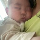 꼬미드림 이미지