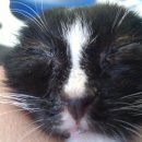 애견종합병원 이미지