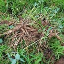 굿마루농장 이미지