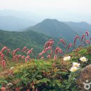 덕유산민박 이미지