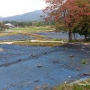 굴산사지입구 이미지