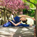 전주비타민의원 이미지