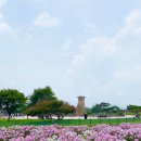 시내권 투어 1 이미지