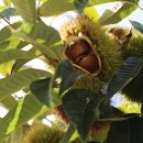 문곡농장 이미지