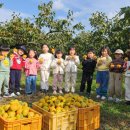 은하자연어린이집 이미지