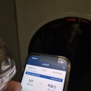 멍 뭉 몽 | 24년 칠월의 대구