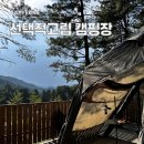 새로이:b | [경기 가평] 선택적고립 캠핑장 ｜B사이트 이용 후기 ｜크루존 ｜고립 사이트 ｜가평 캠핑장 추천...