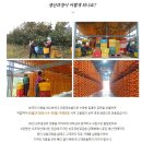 경천유통