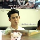 '삼시세끼' 옥택연, 에디 입양 "점점 밍키 닮아가" 이미지