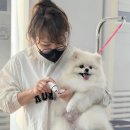 파트너학원