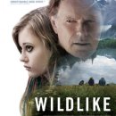 서대문구보건소 이미지