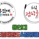 드림태권도 이미지