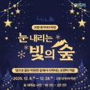 빛의 숲 이미지