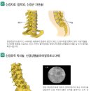 다남재활의학과