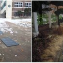 삼호서초등학교 이미지