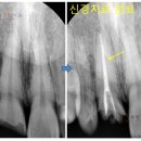 아트치과기공소 이미지