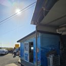 동일하모로 | [후기] 제주돌고래힐링투어 : 돌고래투어 제주도가볼만한 곳