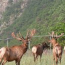 원하농장 이미지