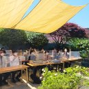 스테이 청춘 이미지