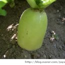 두만농장 이미지