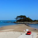 진하해수욕장 이미지