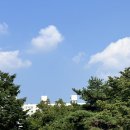 여주-0803 네이버블로그