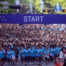 싸이레이스 이미지