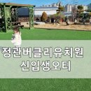 버클리유치원 이미지