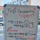 탑그루밍 이미지