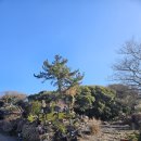 환상숲 | [제주도 여행] 환상숲 곶자왈공원 :: 숲해설 힐링코스 / 2월 서쪽 가볼만한 곳