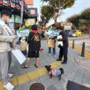 신정수지 이미지