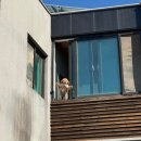 멍뜨락 | 🇷 🇪 🇻 🇮 🇪 🇼 _ 전주 애견동반 펜션 추천 숙소, 멍뜨락