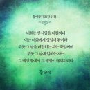 영원한 관계 14- 이미지