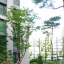피엘플랜