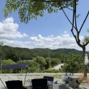 알프스 | 충주 알프스캠핑장 후기 🏕️