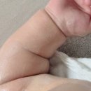 바디메틱 | 아기고보습크림 로션 차이 오가베베 펩타이드 아토 크림 후기