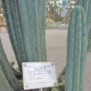 (주)대능 네이버블로그