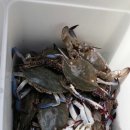 둘레길 펜션 이미지