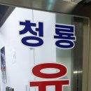 용인대청룡유도관 네이버블로그