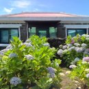 제주독채펜션돌담감성숙소밭담점 이미지