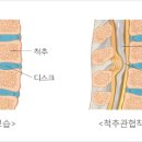 이성용재활의학과의원 이미지