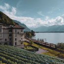 쌍둥이부분정비 이미지