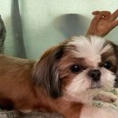 봄날약국 | like you better 💛 봄날은 봄비를 타고 흘러가지