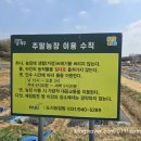 단수농장 이미지