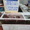 용정수산 네이버블로그