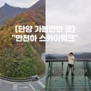 개화 | 단양 가볼만한 곳 &#34;단양 만천하 스카이워크&#34; 실시간 단풍 개화 방문 후기